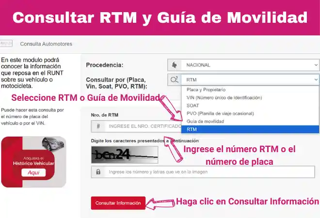 Consultar RTM y Guía de Movilidad