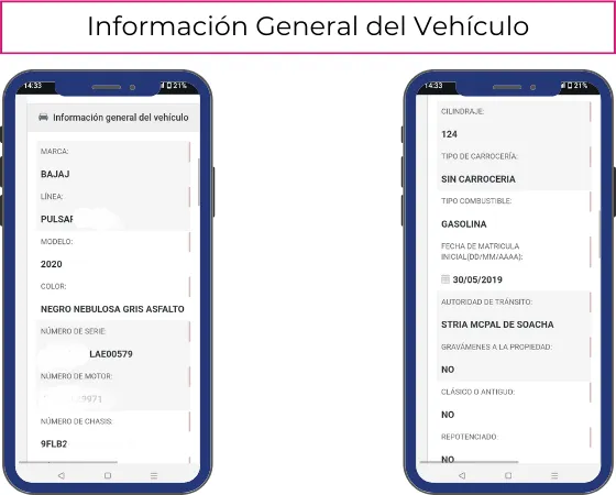 Información General del Vehículo