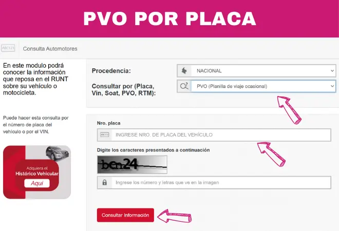 PVO Por Placa