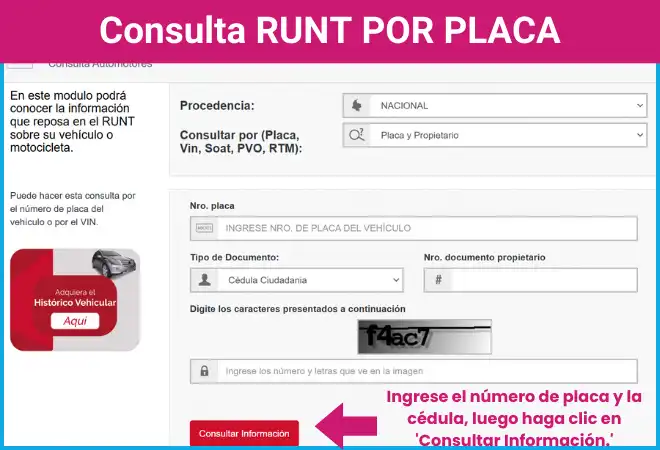 RUNT POR PLACA