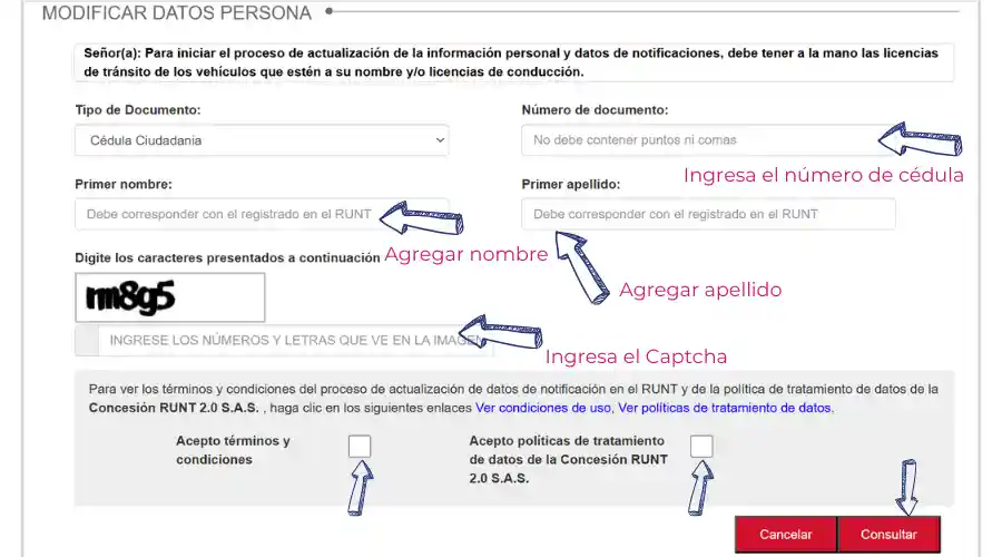Actualizar runt persona natural en línea