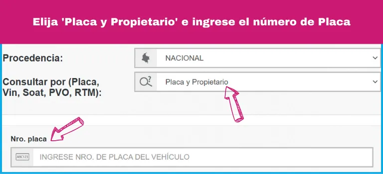ingrese el numero de placa