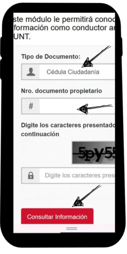 Haz clic en el boton Consultar Informacion