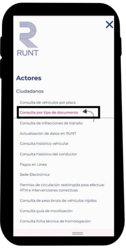 Selecciona la opción Consulta por Tipo de Documento